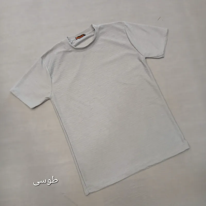 تیشرت بیسکویتی مردانه نخی ساده لارج تا سه ایکس لارج